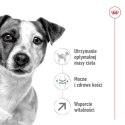 ROYAL CANIN Mini Adult +8 8kg Royal Canin