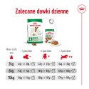 ROYAL CANIN Mini Adult +8 8kg Royal Canin