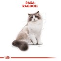 ROYAL CANIN Ragdoll Adult 2kg Royal Canin