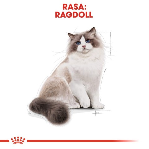 ROYAL CANIN Ragdoll Adult 2kg Royal Canin