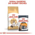ROYAL CANIN Ragdoll Adult 2kg Royal Canin