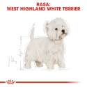 ROYAL CANIN West Highland White Terrier Adult 3kg Royal Canin