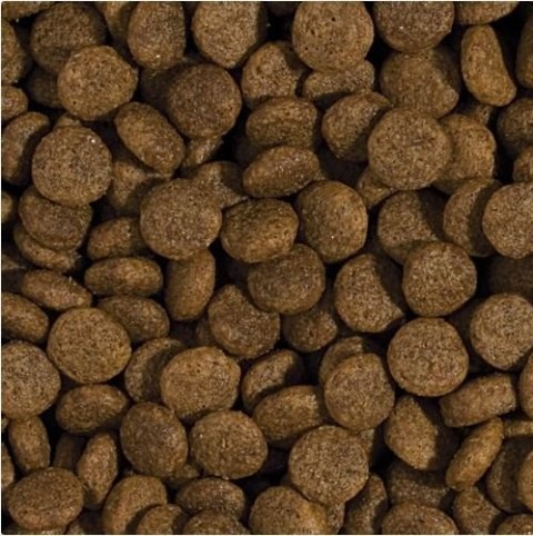 Tropidog Super Premium Adult Medium & Large Breed Kurczak I Łosoś 15kg Tropidog
