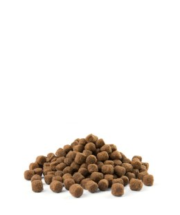 Versele-Laga Opti Life Adult Digestion Mini Z Jagnięcina I Ryżem 2,5kg Versele-Laga