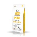 Brit Care Mini Grain-Free Hair & Skin 2kg Brit