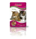 CERTECH-SUPER BENEK Junior Cats Z Indykiem 100g Certech-Super Benek