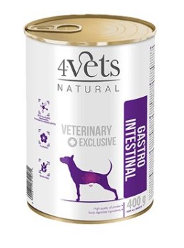 Dolina Noteci 4Vets Gastro Intestinal Dla Psów 400g 4Vets Natural