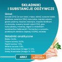 Purina One Cat Adult Z Kurczakiem Dla Kota 800g PURINA ONE