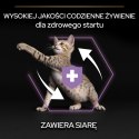 Purina Pro Plan Original Kitten Kurczak Z Ryżem 400g Purina Pro Plan