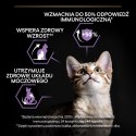Purina Pro Plan Original Kitten Kurczak Z Ryżem 400g Purina Pro Plan