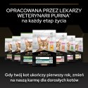 Purina Pro Plan Original Kitten Kurczak Z Ryżem 400g Purina Pro Plan