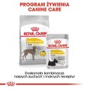 ROYAL CANIN CCN Maxi Dermacomfort 12kg Royal Canin