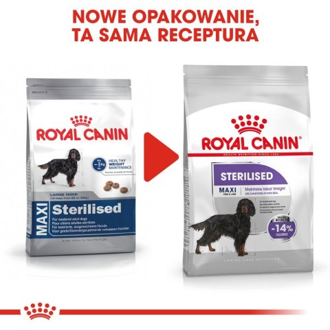 ROYAL CANIN CCN Maxi Sterilised 12kg Royal Canin