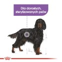 ROYAL CANIN CCN Maxi Sterilised 12kg Royal Canin