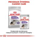 ROYAL CANIN CCN Medium Sterilised 12kg Royal Canin