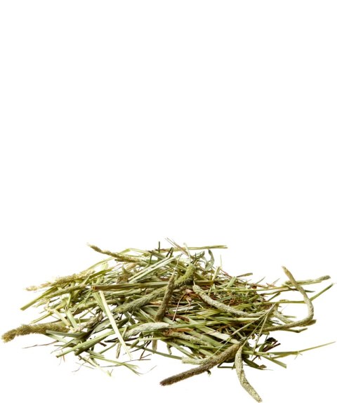 Versele-Laga Timothy Hay 1kg Versele-Laga