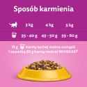 WHISKAS Sterile 1,4kg - sucha karma dla kotów po sterylizacji z kurczakiem Whiskas