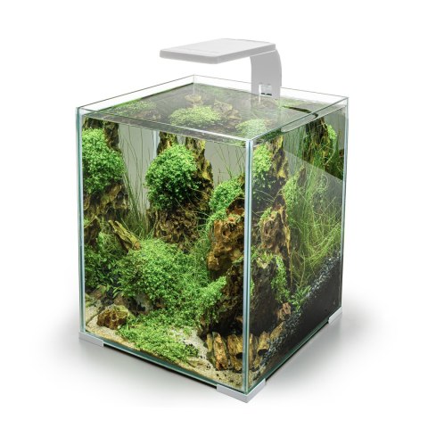 AQUAL Moduł Oświetleniowy Leddy Smart 4,8W Sunny D&N Biały AQUA EL