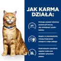 Hill's PD Prescription Diet Feline c/d Multicare 3kg Hills