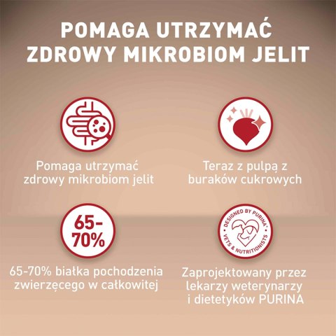 PURINA ONE Mini Active Kurczak, ryż - sucha karma dla psa - 800g PURINA ONE