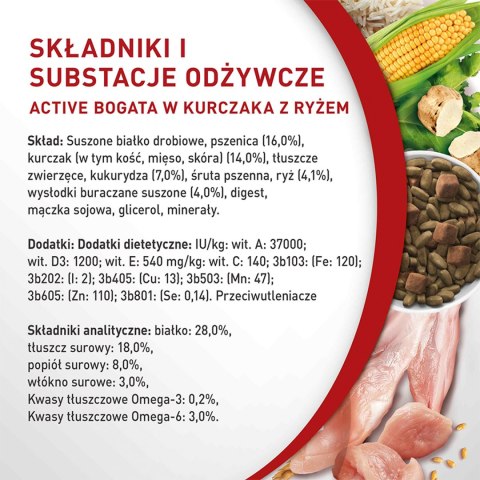 PURINA ONE Mini Active Kurczak, ryż - sucha karma dla psa - 800g PURINA ONE