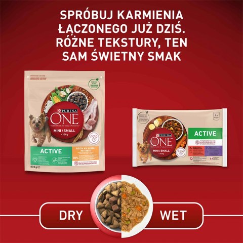 PURINA ONE Mini Active Kurczak, ryż - sucha karma dla psa - 800g PURINA ONE