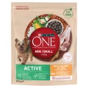 PURINA ONE Mini Active Kurczak, ryż - sucha karma dla psa - 800g PURINA ONE