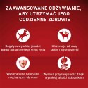 PURINA ONE Mini Adult Wołowina, ryż - sucha karma dla psa - 800g PURINA ONE