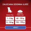 PURINA ONE Mini Adult Wołowina, ryż - sucha karma dla psa - 800g PURINA ONE