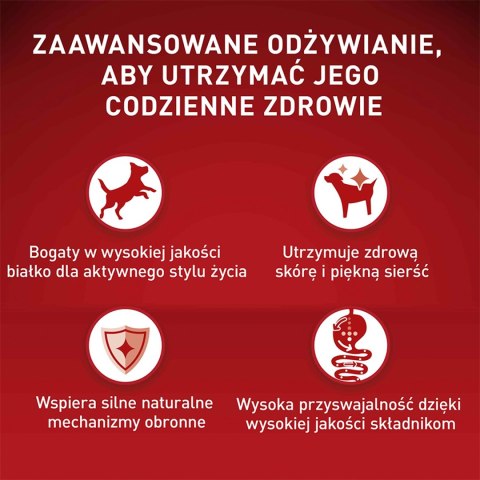 PURINA ONE Mini Delicate Łosoś, ryż - sucha karma dla psa - 800 g PURINA ONE