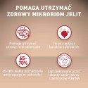 PURINA ONE Mini Delicate Łosoś, ryż - sucha karma dla psa - 800 g PURINA ONE