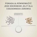 PURINA ONE Mini Delicate Łosoś, ryż - sucha karma dla psa - 800 g PURINA ONE