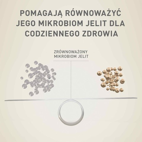 PURINA ONE Mini Delicate Łosoś, ryż - sucha karma dla psa - 800 g PURINA ONE