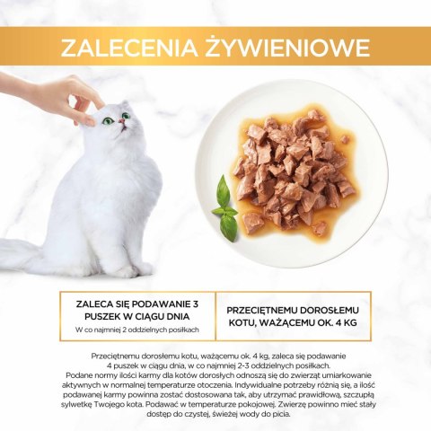 Purina Gourmet Gold Sauce Delight z kurczakiem 85g Gourmet