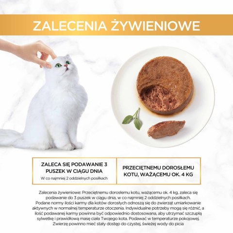 Purina Gourmet Gold pasztet z królikiem 85g Gourmet