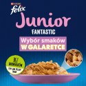 Felix Fantastic Junior W Galaretce Z Kurczakiem I Łososiem 4x85g Felix