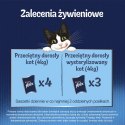 Felix Fantastic Mix Smaków W Galaretce Karma Dla Kota 44x85g Felix