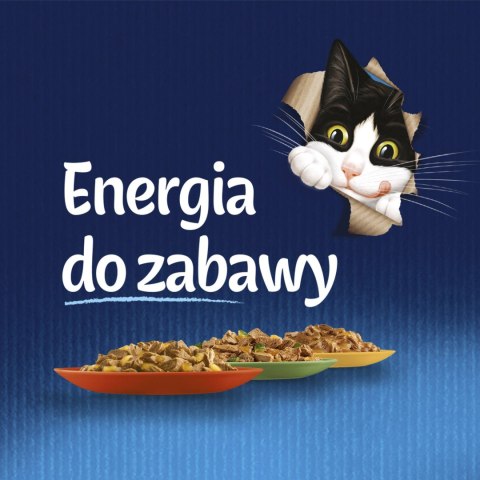 Felix Fantastic Mix Smaków W Galaretce Karma Dla Kota 44x85g Felix