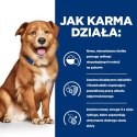 Hill's Prescription Diet Derm Complete Karma Dla Psa 1.5kg Hills