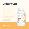 Lab-v Urinary Cat Wsparcie Układu Moczowego Dla Kotów 90 Kapsułek LAB-V