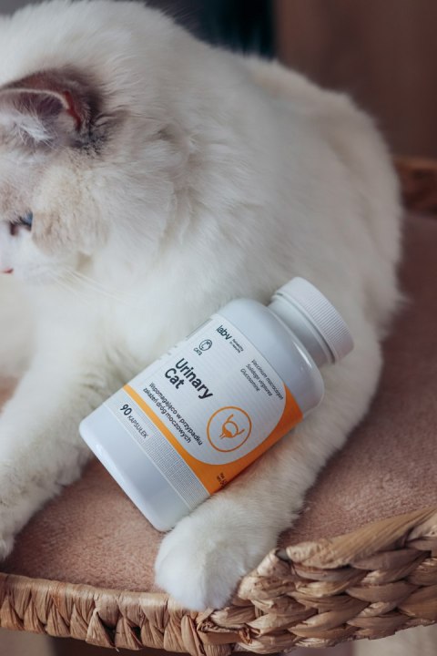 Lab-v Urinary Cat Wsparcie Układu Moczowego Dla Kotów 90 Kapsułek LAB-V