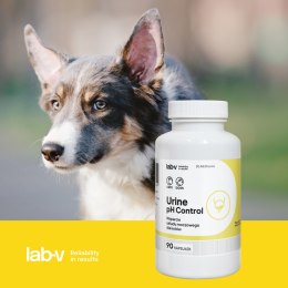 Lab-v Urine Ph Control Wsparcie Dla Psów I Kotów Przy Kamicy Struwitowej 90 Kapsułek LAB-V