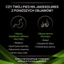 Pro Plan Veterinary Diets Ha Hypoallergenic Karma Dla Psa Mus 195g PRO PLAN Veterinary Diets