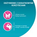 Purina One Junior Karma Dla Kociąt Z Łososiem I Marchewką 85g PURINA ONE