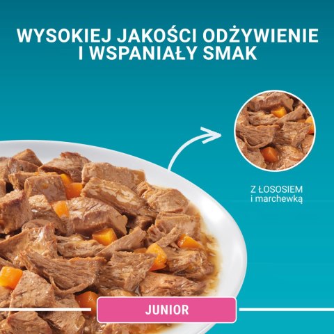 Purina One Junior Karma Dla Kociąt Z Łososiem I Marchewką 85g PURINA ONE