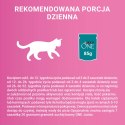 Purina One Junior Karma Dla Kociąt Z Łososiem I Marchewką 85g PURINA ONE