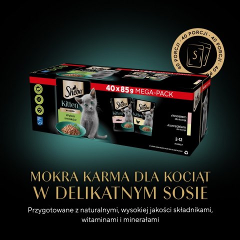 Sheba Kitten Wybór Smaków W Sosie Karma Dla Kociąt 40x85g Sheba