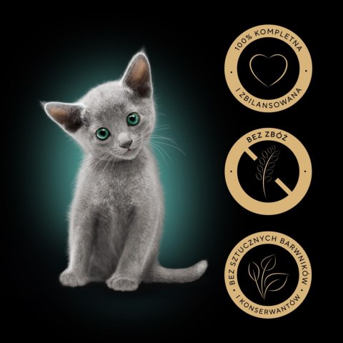 Sheba Kitten Wybór Smaków W Sosie Karma Dla Kociąt 40x85g Sheba
