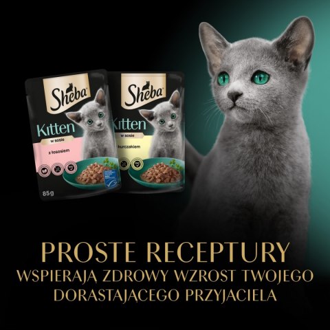Sheba Kitten Wybór Smaków W Sosie Karma Dla Kociąt 40x85g Sheba
