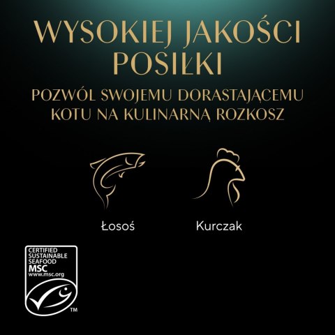 Sheba Kitten Wybór Smaków W Sosie Karma Dla Kociąt 40x85g Sheba